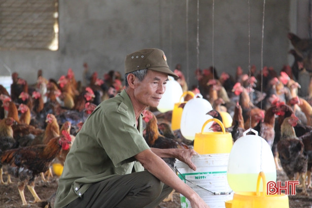 Bước qua bom đạn, các cựu binh Hà Tĩnh tiếp tục tạo ra giá trị mới cho cuộc sống ảnh 5 Bước qua bom đạn, các cựu binh Hà Tĩnh tiếp tục tạo ra giá trị mới cho cuộc sống