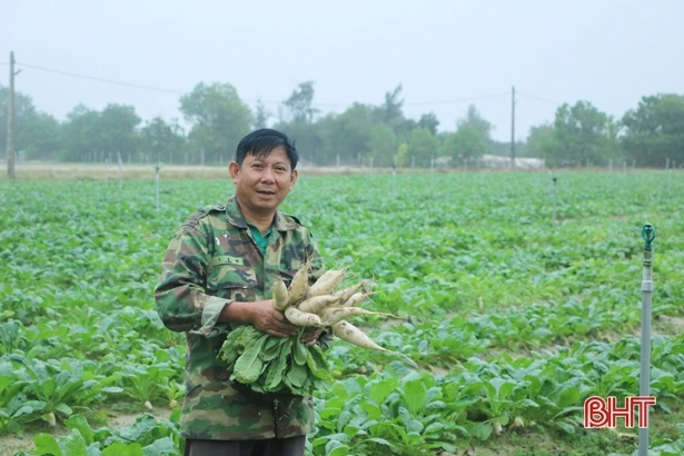 Vựa rau lớn nhất Cẩm Xuyên sẵn sàng cung ứng tết