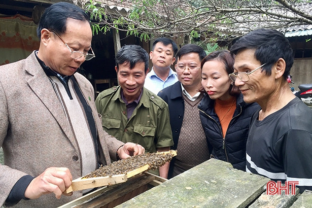 Hỗ trợ 200 đàn ong giống cho hộ nghèo, cận nghèo ở xã miền núi Hương Khê