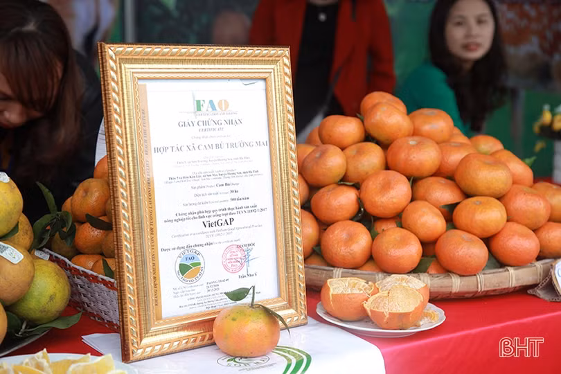 Những gian hàng “níu chân” khách ở Lễ hội Cam và sản phẩm nông nghiệp Hà Tĩnh