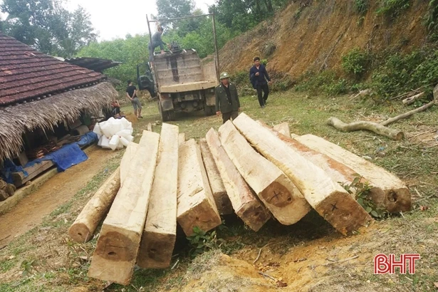 Phát hiện nhiều bê gỗ vô chủ tại xã biên giới Hương Khê