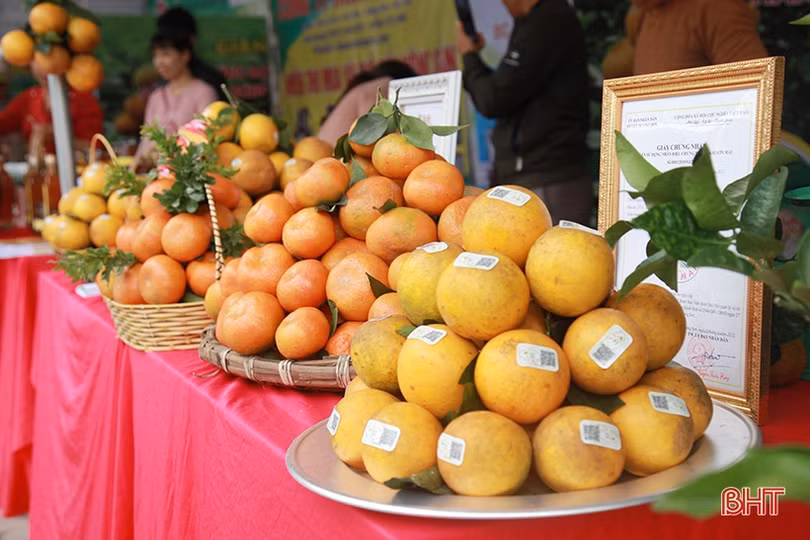 Những gian hàng “níu chân” khách ở Lễ hội Cam và sản phẩm nông nghiệp Hà Tĩnh