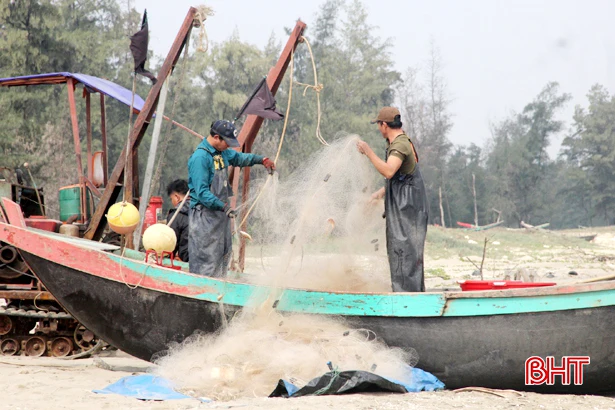 Ngư dân Nghi Xuân trúng tôm bạc “kiếm” tiền triệu mỗi ngày