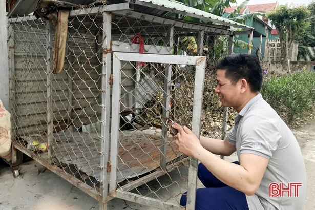 Đến mùa mưa lạnh, nạn trộm chó lại hoành hành ở TX Kỳ Anh