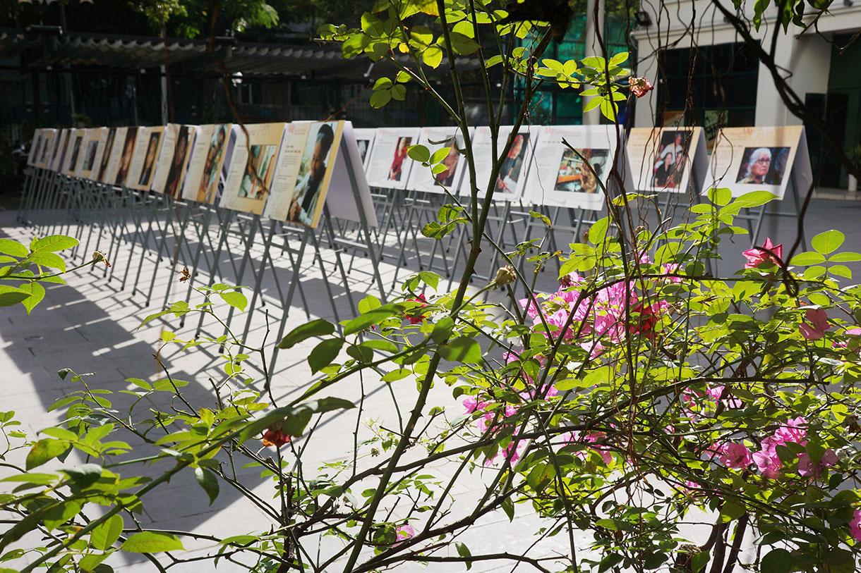 Trần Hồng - người kể chuyện bằng hình ảnh ảnh 15 Trần Hồng - người kể chuyện bằng hình ảnh