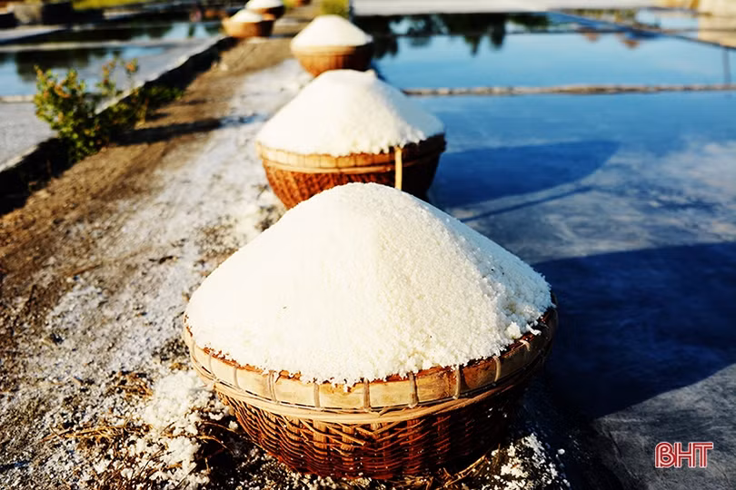 Diêm dân Hà Tĩnh: Trời càng nắng, đồng muối càng bội thu