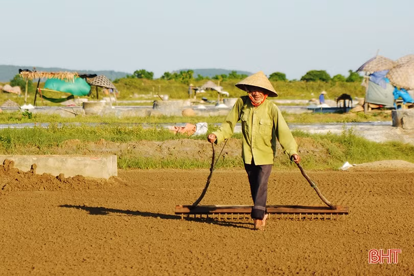 Diêm dân Hà Tĩnh: Trời càng nắng, đồng muối càng bội thu