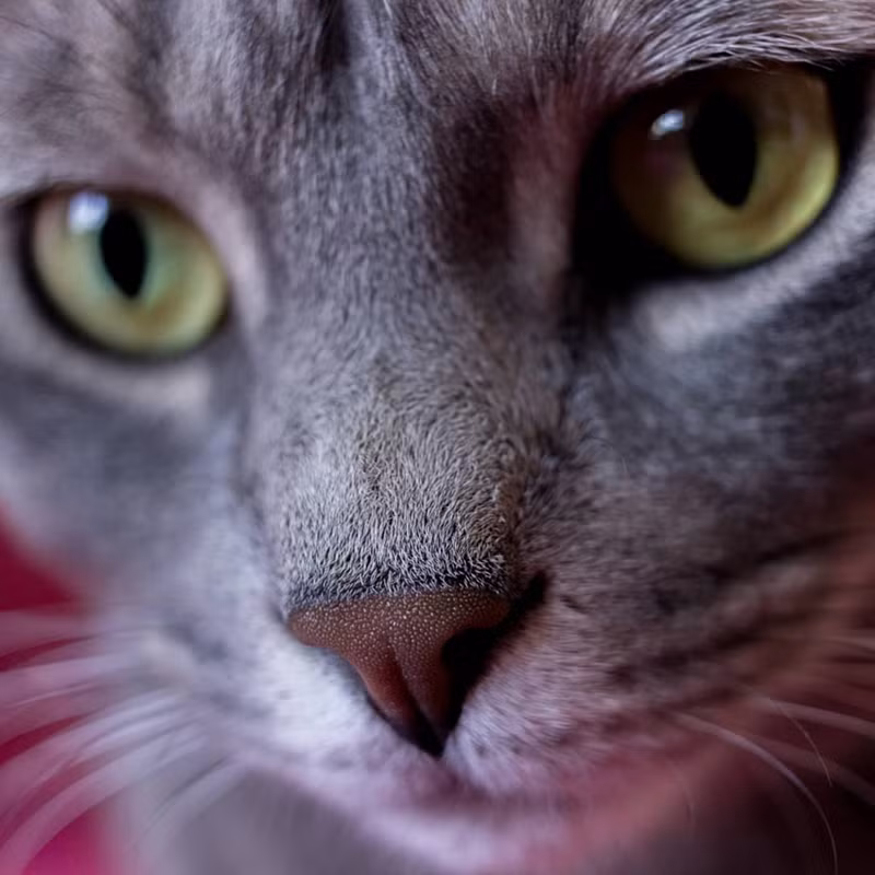 Những sự thật tiết lộ nhiều điều bất ngờ về thế giới