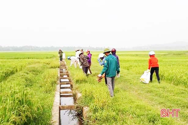 Hàng nghìn nông dân Hà Tĩnh ra quân làm sạch môi trường