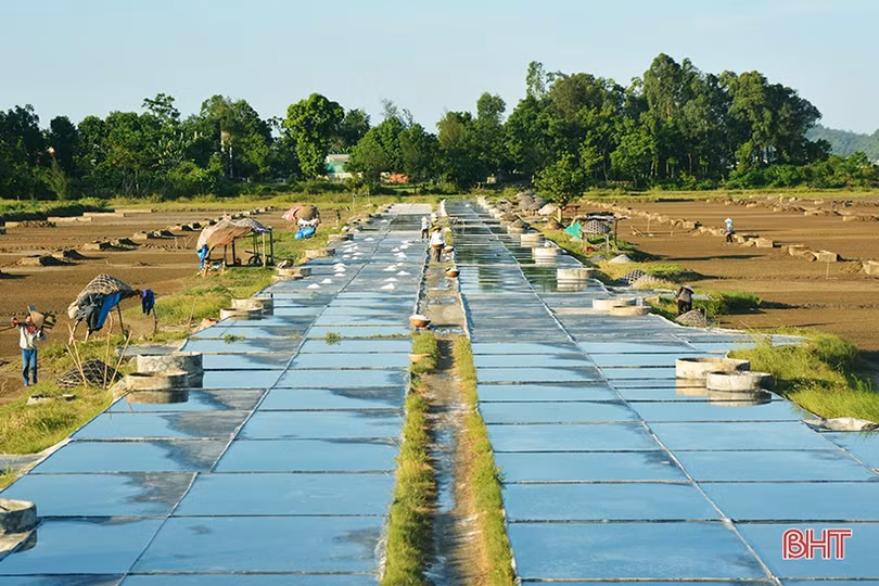 Diêm dân Hà Tĩnh: Trời càng nắng, đồng muối càng bội thu