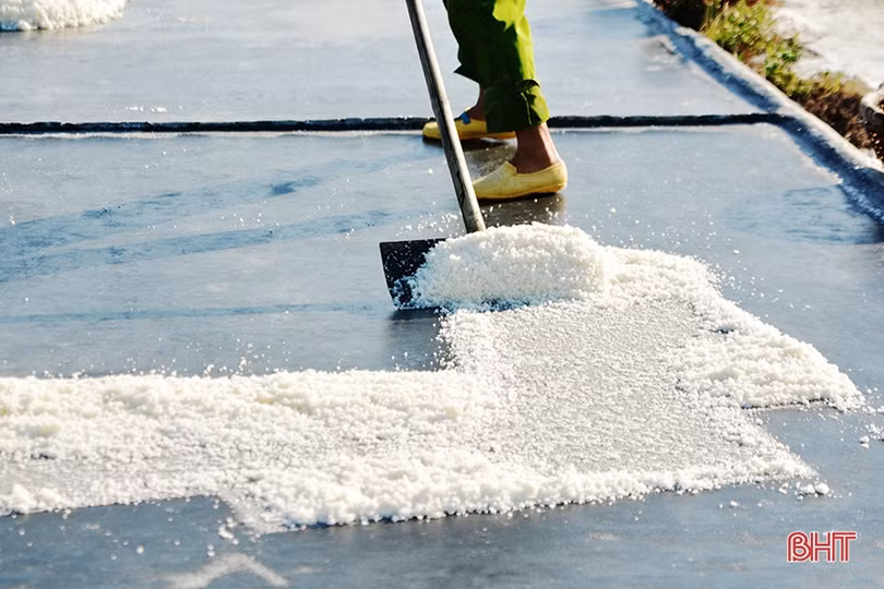 Diêm dân Hà Tĩnh: Trời càng nắng, đồng muối càng bội thu