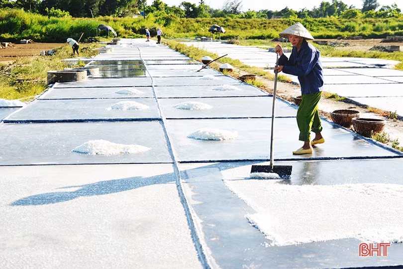 Diêm dân Hà Tĩnh: Trời càng nắng, đồng muối càng bội thu