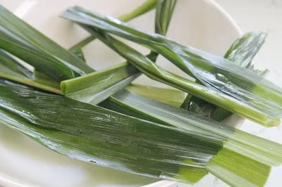 10 phút làm thạch lá nếp và sữa tươi giòn ngon mát lịm