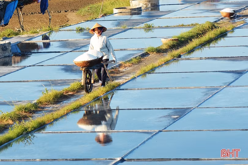 Diêm dân Hà Tĩnh: Trời càng nắng, đồng muối càng bội thu