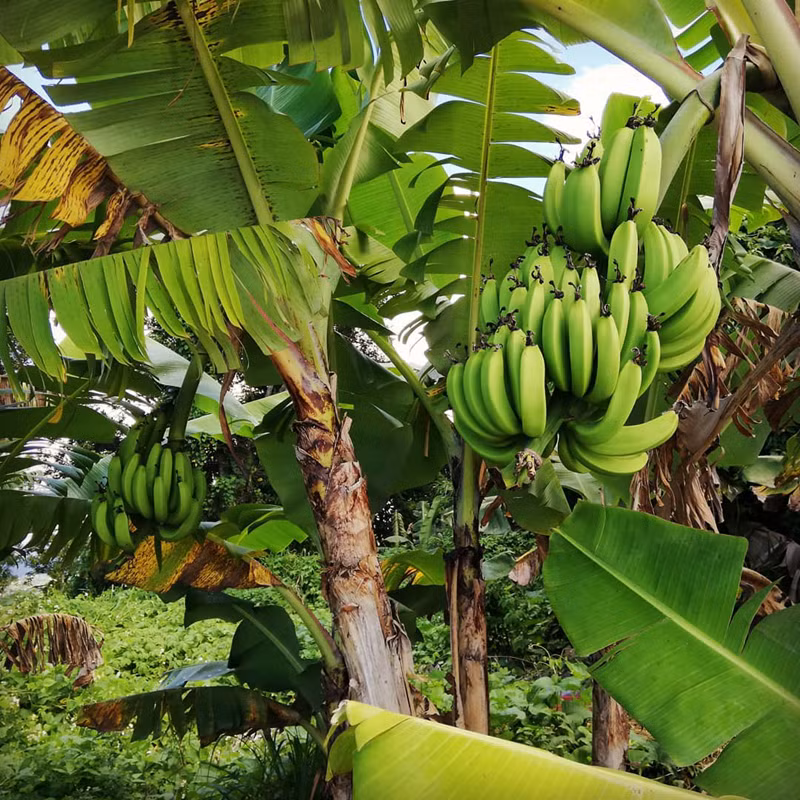 Những sự thật tiết lộ nhiều điều bất ngờ về thế giới