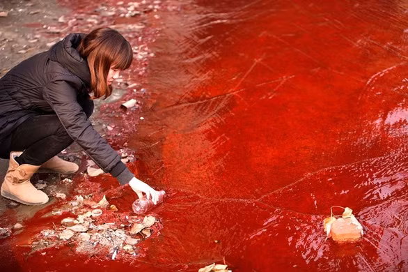 Ngày môi trường thế giới, xót xa nhìn mẹ thiên nhiên ngộp trong ô nhiễm