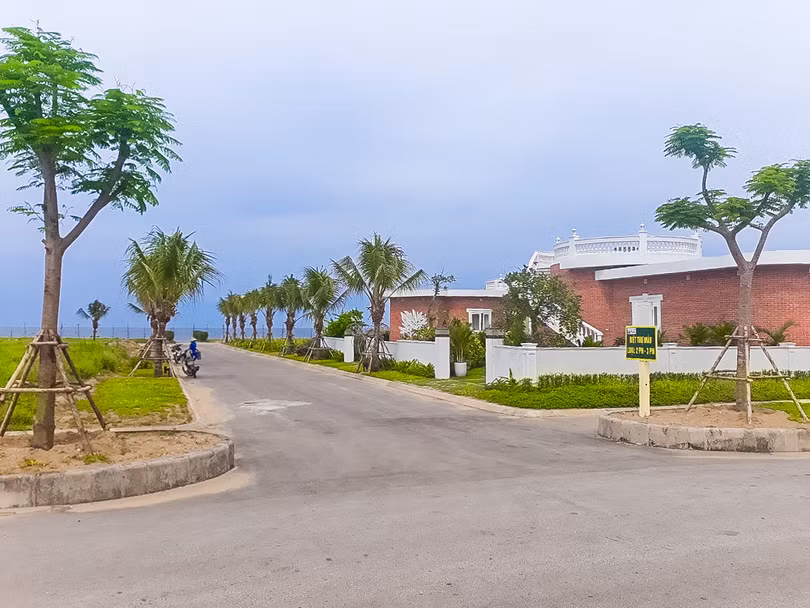 Hoa Tiên Fest Tour - điểm đến lý tưởng cho mùa lễ hội cuối năm