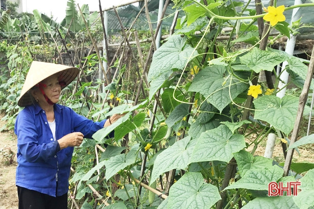 Lộc Hà: 8 khu dân cư và 114 vườn hộ đạt chuẩn NTM kiểu mẫu