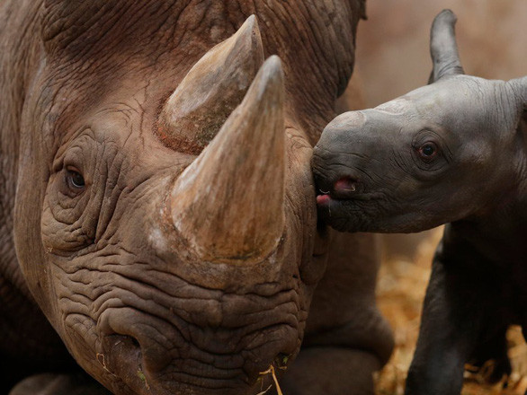 Ngày môi trường thế giới, xót xa nhìn mẹ thiên nhiên ngộp trong ô nhiễm - Ảnh 12. Ngày môi trường thế giới, xót xa nhìn mẹ thiên nhiên ngộp trong ô nhiễm