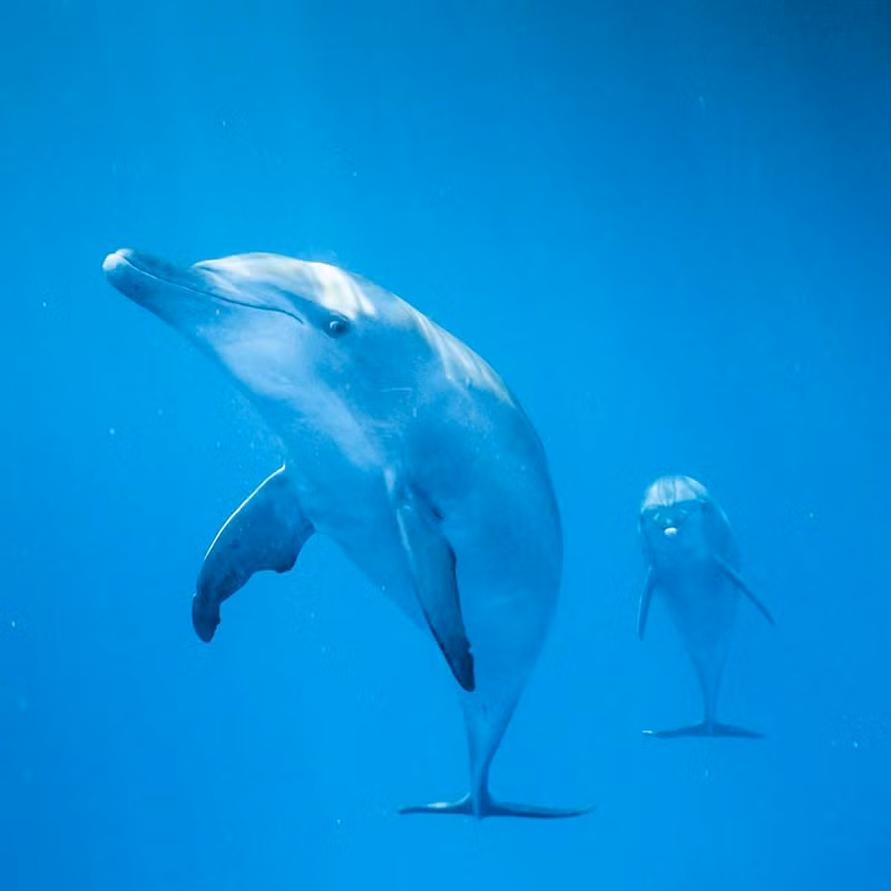 Những sự thật tiết lộ nhiều điều bất ngờ về thế giới