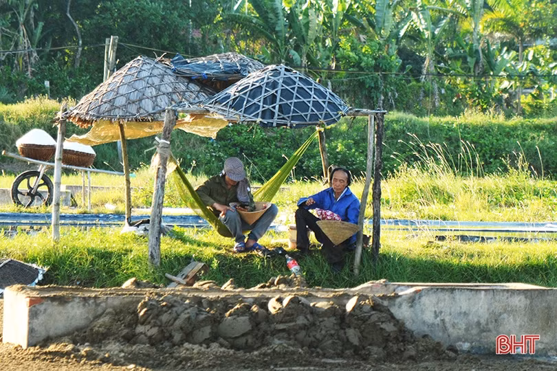 Diêm dân Hà Tĩnh: Trời càng nắng, đồng muối càng bội thu