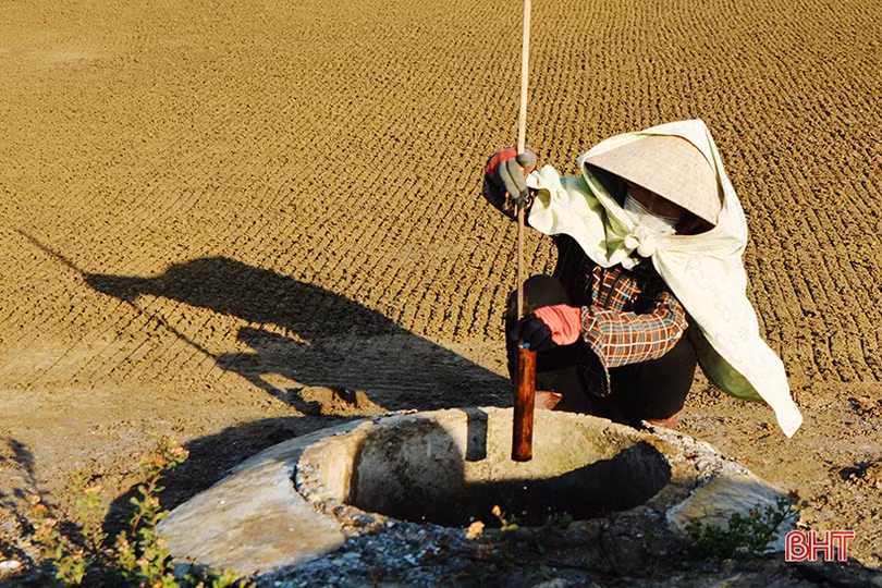 Diêm dân Hà Tĩnh: Trời càng nắng, đồng muối càng bội thu