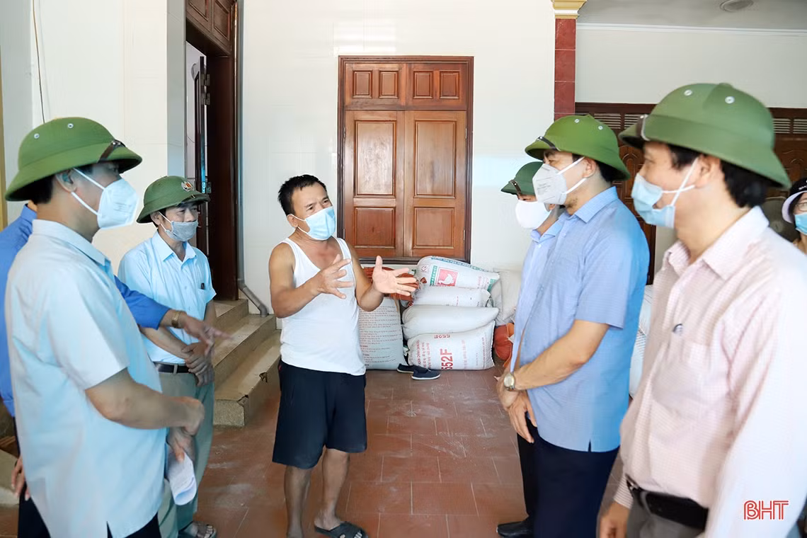 Chủ tịch UBND tỉnh Hà Tĩnh: Phấn đấu hoàn thành thu hoạch lúa xuân trước 20/5