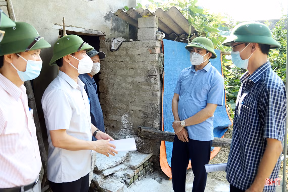 Chủ tịch UBND tỉnh Hà Tĩnh: Phấn đấu hoàn thành thu hoạch lúa xuân trước 20/5