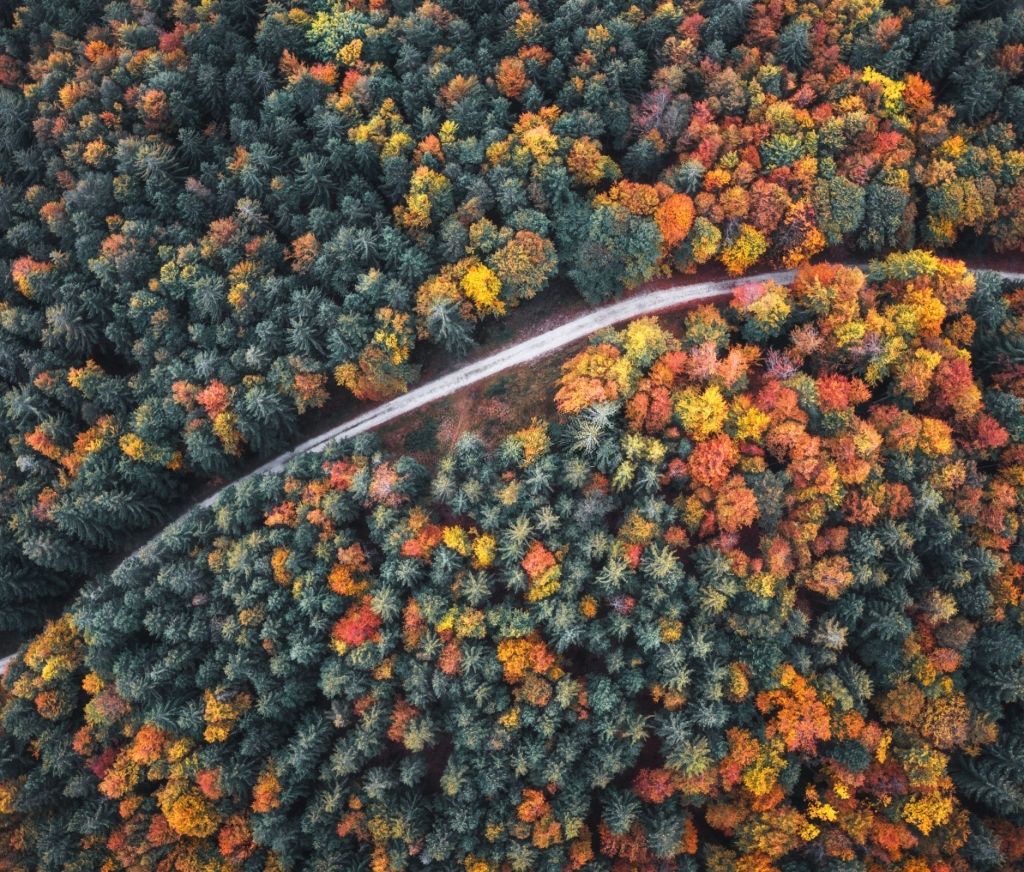 Những con đường đẹp trên thế giới khi thu về