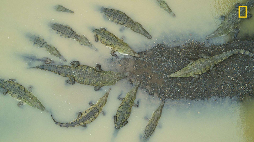 thien nhien an tuong tren anh du thi cua national geographic