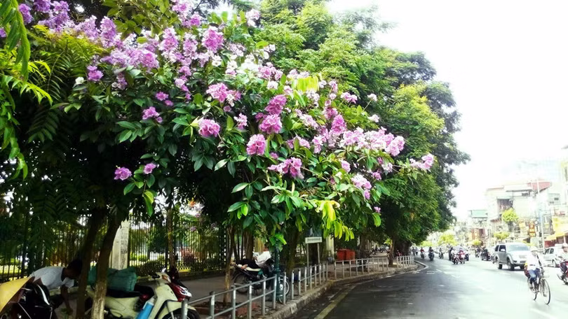 du doan ngay moi 24 04 2018 cho 12 con giap