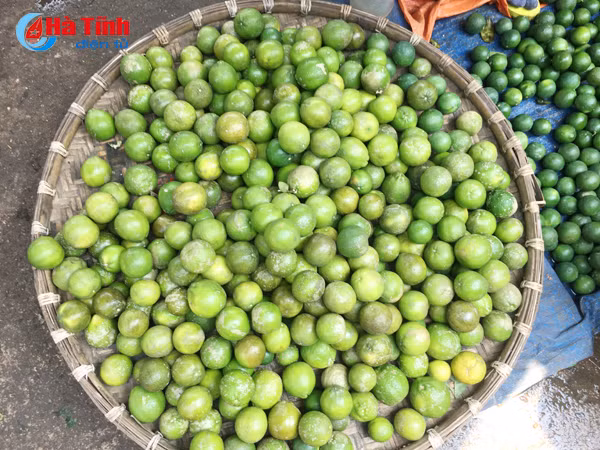 50 000 dong kg gia chanh tuoi lap ky luc tai ha tinh