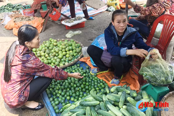 50 000 dong kg gia chanh tuoi lap ky luc tai ha tinh