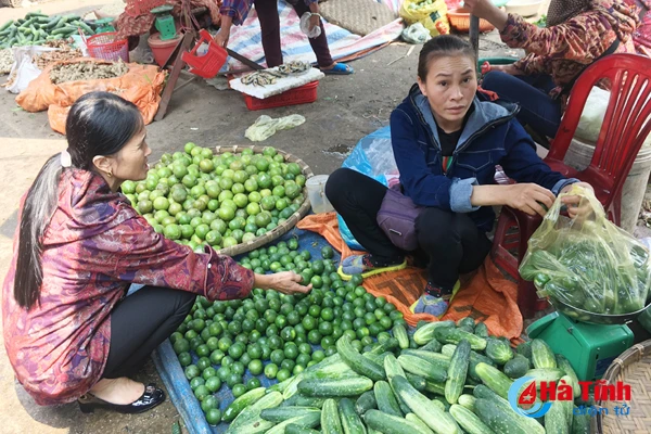 50 000 dong kg gia chanh tuoi lap ky luc tai ha tinh