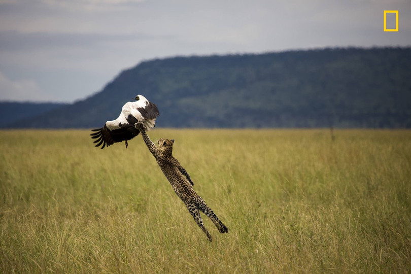thien nhien an tuong tren anh du thi cua national geographic