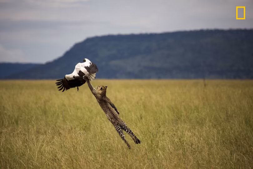 thien nhien an tuong tren anh du thi cua national geographic