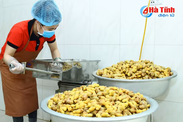 Cu đơ Hà Tĩnh đắm say lòng người