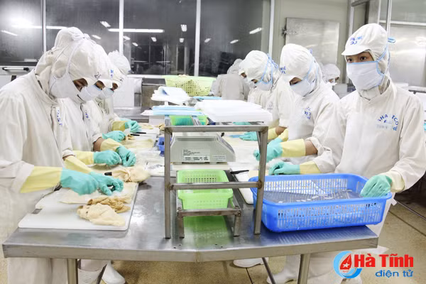 nong san ha tinh chat vat tim duong xuat ngoai