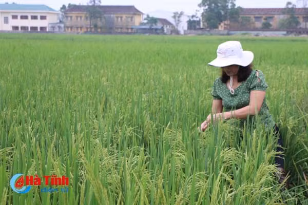 thuc day thoi vu san xuat he thu 2018 an chac an toan