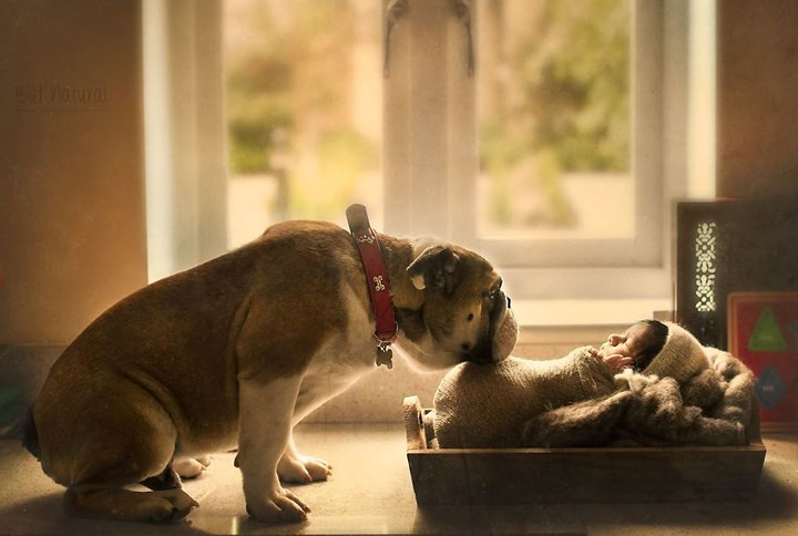 me man bo anh tuyet dep chup em be va thu cung