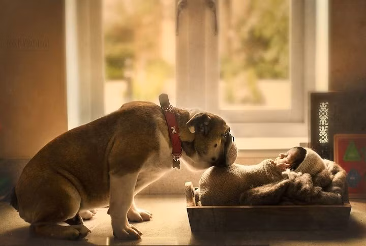 me man bo anh tuyet dep chup em be va thu cung