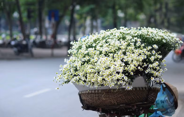 du doan ngay moi 24 04 2018 cho 12 con giap