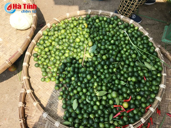 50 000 dong kg gia chanh tuoi lap ky luc tai ha tinh