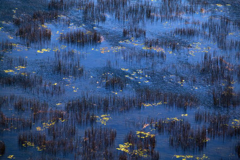 Thiên nhiên đẹp như tranh vẽ ảnh 9 thien nhien dep nhu tranh ve