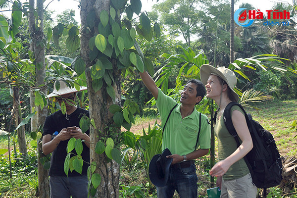 nong dan quang binh an tuong voi mo hinh nong nghiep thong minh tai ha tinh
