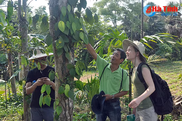 nong dan quang binh an tuong voi mo hinh nong nghiep thong minh tai ha tinh