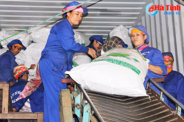 nong san ha tinh chat vat tim duong xuat ngoai