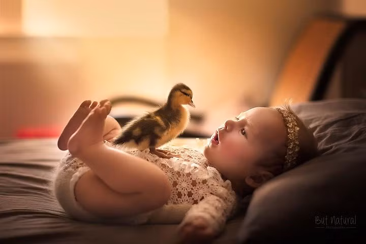 me man bo anh tuyet dep chup em be va thu cung