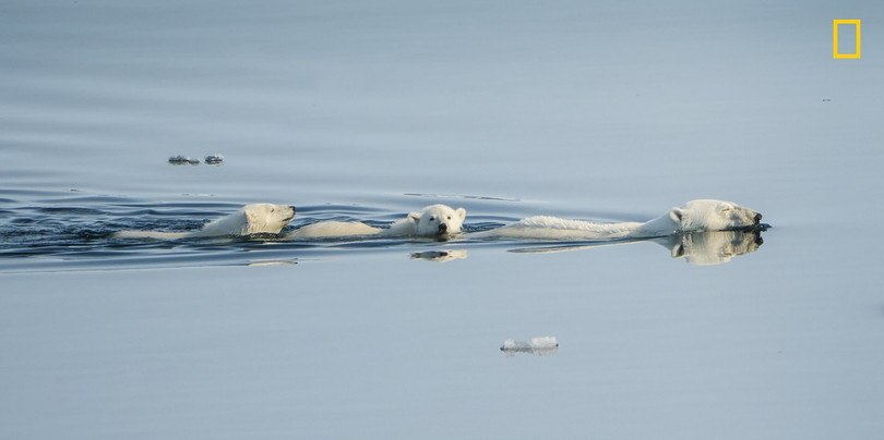 thien nhien an tuong tren anh du thi cua national geographic