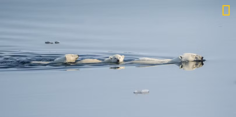thien nhien an tuong tren anh du thi cua national geographic